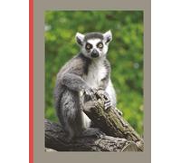 Mon Carnet: Pour celles et ceux qui aiment Madagascar et sa culture.