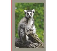 Mon Carnet: Pour celles et ceux qui aiment Madagascar et sa culture.