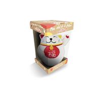 Mon chat de la fortune antistress