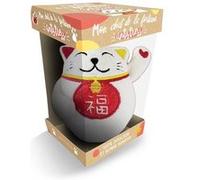 Mon chat de la fortune antistress