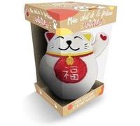 Mon chat de la fortune antistress