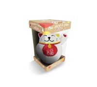 Collectif – Mon chat de la fortune antistress – Coffret avec mini-peluche et carnet – Larousse
