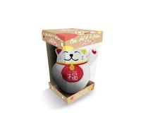 Collectif – Mon chat de la fortune antistress – Coffret – Larousse