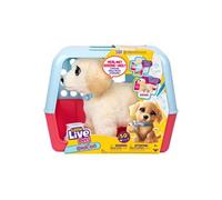 Little Live Pets Ouchies - Cooper The Retriever Puppy, Soigne Ton Animal comme Un vétérinaire, Pose Un plâtre, Chiot Qui Marche et Caisse de Transport, Joue à l'infini, Plus de 50 Sons et réactions