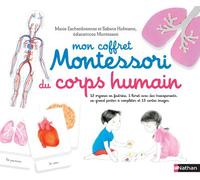 Nathan Coffret Montessori du corps humain – 12 organes feutrine, livret, 13 cartes – 6/9 ans