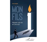 Mon fils: Réparer une vie en une nuit