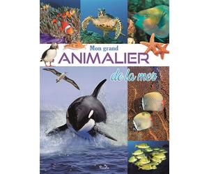 Mon grand Animalier de la mer - Elodie Berthon - Piccolia - cartonné - Document jeunesse