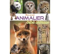 Mon grand animalier des bébés animaux - Elodie Berthon - Piccolia - cartonné - Document jeunesse