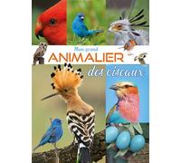Mon grand animalier des oiseaux - Christine Baillet - Piccolia - cartonné - Document jeunesse