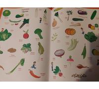 Mon Grand Dictionnaire D'anglais Illustré