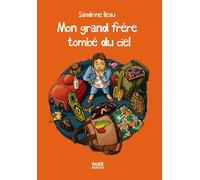 Mon grand frère tombé du ciel - Sandrine Beau - Alice Eds - broché - Roman junior dès 9 ans