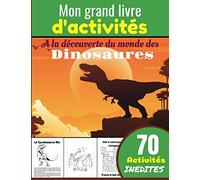 Mon grand livre d'activités, à la découverte du monde des dinosaures: Cahier d'activités dès 6 ans - Paires, Anagrammes, Coloriages éducatifs et plus ... les enfants, petits, frères, soeurs, neveu