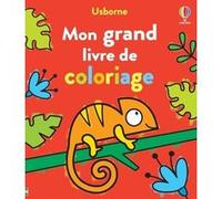 Mon grand livre de coloriage Kate Nolan (Auteur), Matthew Oldham (Auteur), Jenny Addison (Illustration), Eleonore Souchon (Traduction)