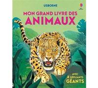 Mon grand livre des animaux - Dès 4 ans Hazel Maskell (Auteur), Fabiano Forin (Illustration), Stephen Wright (Conception couverture ou illustration), Pascal Varejka (Traduction)