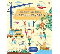 Mon grand livre illustré - Le monde des mots