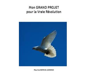 Mon GRAND PROJET pour la Vraie Révolution