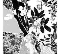 Mon Herbier du Monde Entier [Import]