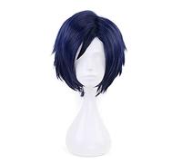Mon Hero Academia Tenya Iida Bleu Court Perruque Cosplay Costume Boku Aucun Hero Academia Résistant À La Chaleur Synthétique Cheveux Hommes Perruques