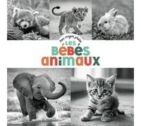 Mon imagier photos - Les bébés animaux