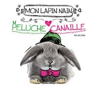 MON LAPIN NAIN, PELUCHE OU CANAILLE ?