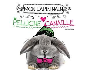 MON LAPIN NAIN, PELUCHE OU CANAILLE ?