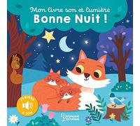 Mon livre son et lumière, Bonne nuit !