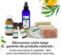 Mon Petit Kit Cuisine - 3 Huiles Essentielles Bio - 100% Pure Et Naturelle - Hebbd, Ecocert - Basilic, Mandarine Verte, Orange Douce - Usage Interne - 3x10ml