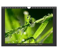 Mon petit monde de gouttes d'eau vertes, Version française (Calendrier mural 2026 DIN A4 portrait), Calendrier CALVENDO mensuel