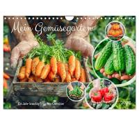 Mon potager - Une année de légumes frais et croquants, Version française (Calendrier mural 2026 DIN A4 portrait), Calendrier CALVENDO mensuel