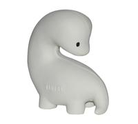 Mon premier dinosaure brachi