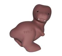 Mon premier dinosaure t-rex