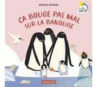 Mon premier pop-up - Ça bouge pas mal sur la banquise - Mathilde Bourgon - Casterman - cartonné - Album jeunesse