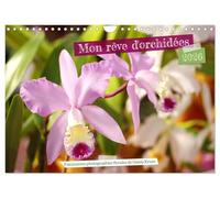 Mon rêve d'orchidées (Calendrier mural 2026 DIN A4 horizontal), CALVENDO calendrier mensuel