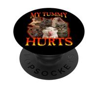 Mon Ventre me Fait Vraiment Mal Chat intolérant au Lactose PopSockets PopGrip Adhésif