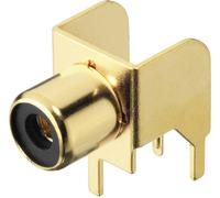 MONACOR T-709G Fiche RCA femelle encastrable