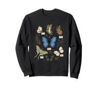 Monarch Blue Morpho Luna Moth Butterflies Espèces Biologie Sweatshirt