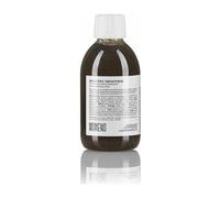 Moncho Moreno Heathy Smoothie Shampoo 250ml