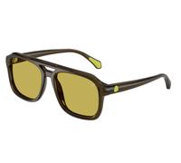 Moncler Unisex Moncler ME6024 VANTOS 304382 Lunettes de soleil Acétate Vert Vert Pillow Normale