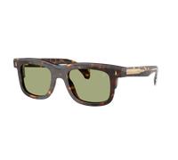 Moncler Unisex Sunglass ME6004 Claro - Couleur du Monture: Marron Écaille de tortue, Couleur de Lentille: Vert