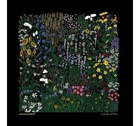 Comment Debord - Monde Autour [Import]