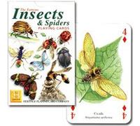 [Monde des insectes inconnu] Insekutsu-et-araign?e P0018 (japon importation)