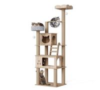 Mondeer Arbre à chat en bois pour salon avec deux maisons pour litière pour chat, capsule transparente, coussin en peluche amovible, dimensions 60 x 50 x 184 cm, chêne, chêne