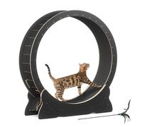Mondeer Roue de Course pour Chat, 110 cm, Noir, Tapis Amovible | Piste en tapis, idéale pour courir, marcher, s'entraîner. Convient aux chats actifs ou en surpoids. Jouet inclus.