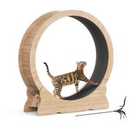 Mondeer Roue d'exercice Chat 110 cm,Tapis Amovible, Jouet Inclus,Courir,Marcher,Entraînement,Adapté à la plupart des chats,Chêne