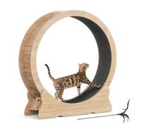 Mondeer Roue pour Chat d'intérieur avec Piste Moquette, Tapis de Course XL de 110 cm avec Tapis Amovible et Jouet pour Chat, pour Course à Pied, Marche, entraînement (Bois Naturel)