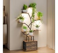 Mondeer Support de Plantes d'Intérieur avec Lumières de Croissance, Étagère d'Angle 9 Niveaux 160 cm avec 2 Tiroirs de Rangement, Luminosité Réglable & Minuterie, Présentoir Moderne pour Plantes - Sal