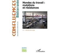 Mondes du travail : mutations et résistances Collectif (Auteur)