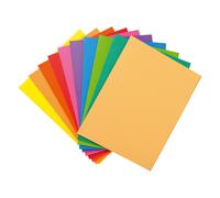 MONDOFFICE Chemises dossiers 220g - 24 x 32 cm - Assortis vifs - Lot de 10