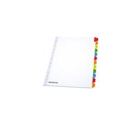 MONDOFFICE Intercalaires mensuels A4 en bristol 170g blanc - 12 divisions couleur