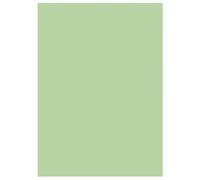 MONDOFFICE Sous-chemises 60g recy s - 22 x 31 cm - Pastel Vert - Lot de 250